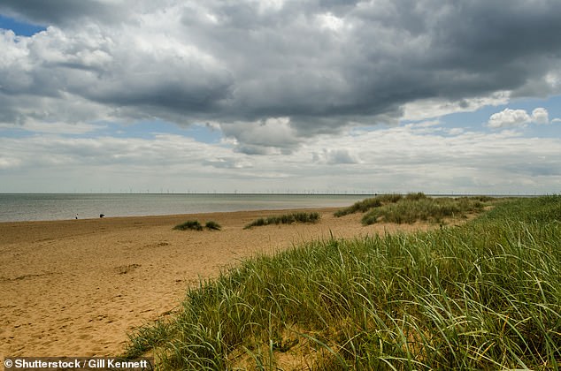 Body found in search for missing teenage boy who vanished at beach beauty spot – Daily Mail