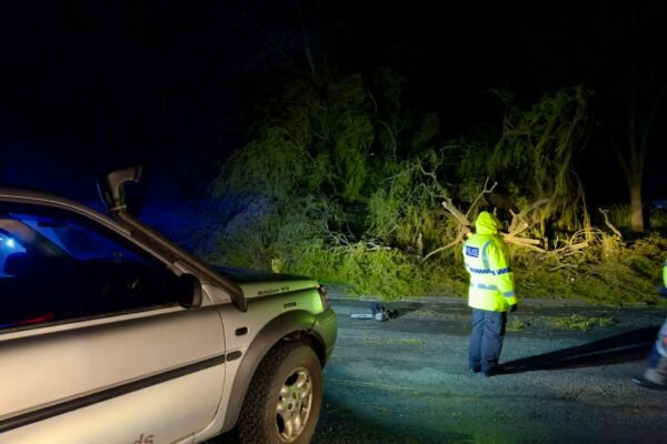 A large tree caused distruption on Saturday night but L-CAT responders quickly cut it up to open the road