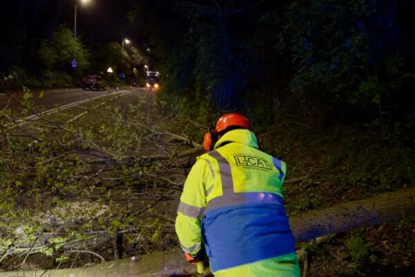 An L-CAT responder clears a fallen tree in Lincoln