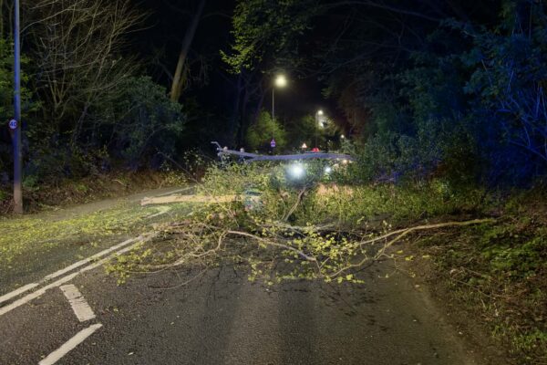 Canwick Road in Lincoln was blocked by a fallen tree by Storm Dave