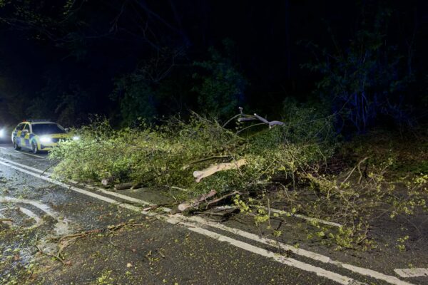 Lincolnshire Police closed Canwick Road in Lincoln on Saturday night due to fallen tree by Storm Dave